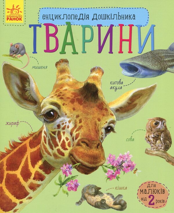 Preschool encyclopedias (a set of 10 books) / Енциклопедії дошкільника (комплект із 10 книг) Юлия Каспарова, Наталия Популях 978-617-09-5648-4, 978-617-09-5066-6, 978-617-09-4199-2, 978-617-09-3729-2, 978-617-09-3617-2, 978-617-09-3619-6, 978-617-09-2834-4, 978-617-09-2835-1, 978-617-09-2831-3, 978-617-09-2997-6-5