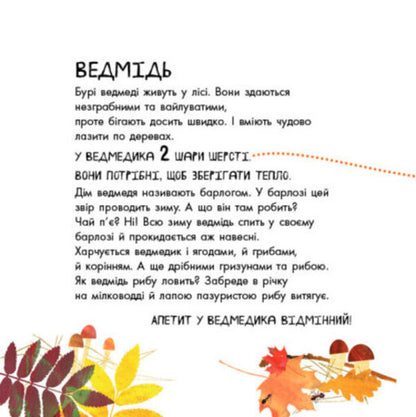 Professor tomboy! (set of 2 books) / Професор карапуз! (комплект із 2 книг) Наталья Чуб 978-617-09-6068-9, 978-617-09-4293-7-6