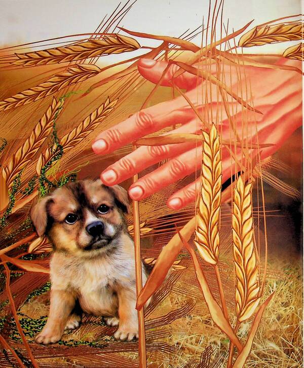 Puppy Baby. A story about humanity / Цуценя Малюк. Історія про людяність Елена Рыбакова 978-617-7754-83-0-4