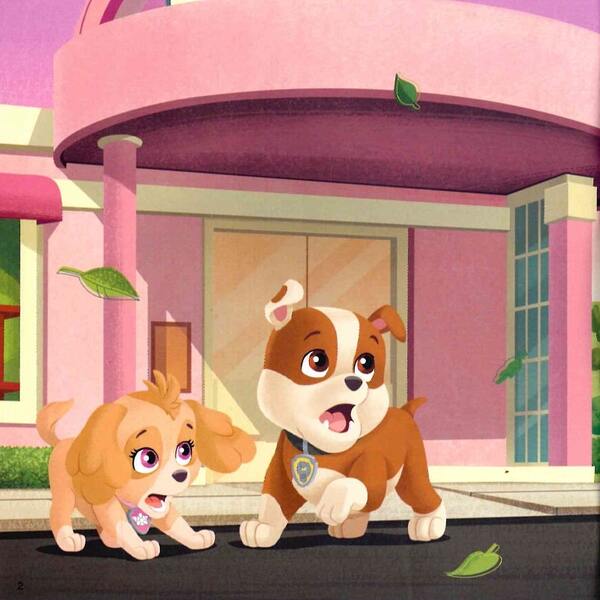 Puppy Patrol.Stories.Puppy birthday / Щенячий Патруль. Історії. Щенячий день народження  9786177846481-3