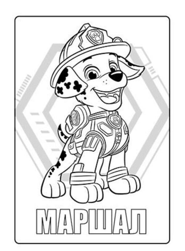 Puppy Patrol. Color adventures with stickers. Liberty / Щенячий Патруль. Кольорові пригоди з наліпками. Ліберті  9786177846337-5