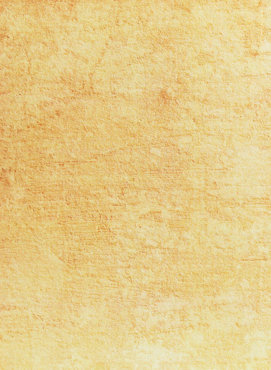 QUO VADIS? Polish historical studies. XIX - the first half of the XX century. Collective monograph / QUO VADIS? Польські історичні студії. ХІХ - перша половина ХХ століття. Колективна монографія  978-966-373-920-5-2