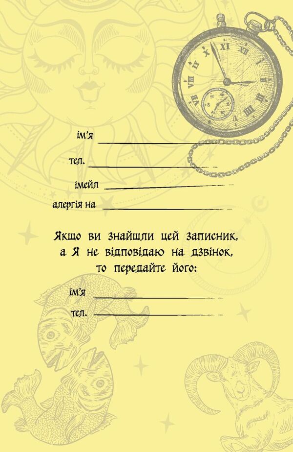 Quirky Notebook 'You Are Energy' / Химерний записник «You Are Energy» Bohdan Fenyuk, Olesya Shostak / Богдан Фенюк, Олеся Шостак 9789669443397-2