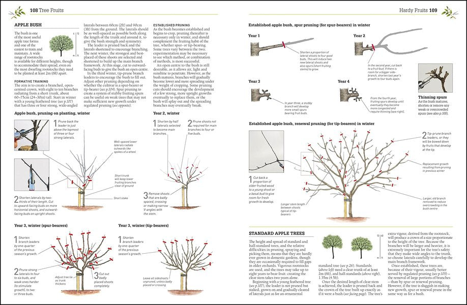 RHS Pruning & Training. Revised New Edition; Over 800 Plants; What, When, And How To Prune Christopher Bricell, David Joyce / Кристофер Брикелл, Дэвид Джойс 9780241282908-3