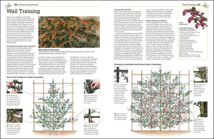 RHS Pruning & Training. Revised New Edition; Over 800 Plants; What, When, And How To Prune Christopher Bricell, David Joyce / Кристофер Брикелл, Дэвид Джойс 9780241282908-5