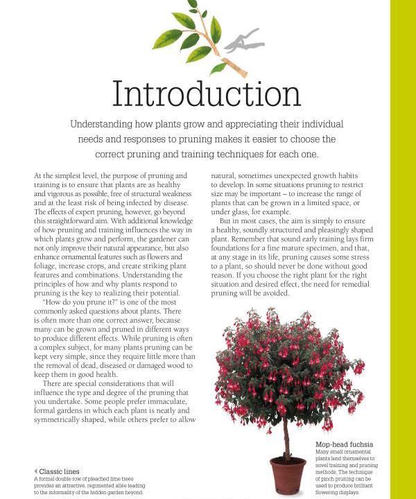 RHS Pruning & Training. Revised New Edition; Over 800 Plants; What, When, And How To Prune Christopher Bricell, David Joyce / Кристофер Брикелл, Дэвид Джойс 9780241282908-6