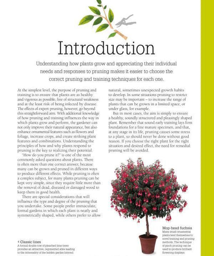 RHS Pruning & Training. Revised New Edition; Over 800 Plants; What, When, And How To Prune Christopher Bricell, David Joyce / Кристофер Брикелл, Дэвид Джойс 9780241282908-6