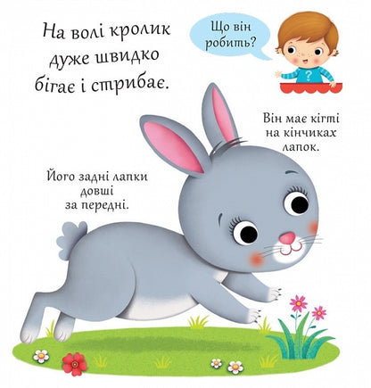 Rabbits / Кролики Emily Beaumont / Емілі Бомон 9789661051392-4