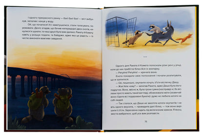 Raccoon Rocket And Other Heroes - нот Ракета та нш геро Yevheniya Zavaliy - вгеня Завалй 9789664481868-5