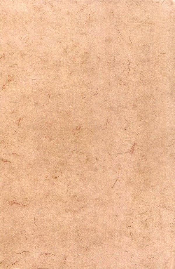 Radiant silhouettes. Lectures, reports, articles, essays, intelligence / Променисті сильвети. Лекції, доповіді, статті, есеї, розвідки Игорь Качуровский 978-966-518-502-4-2