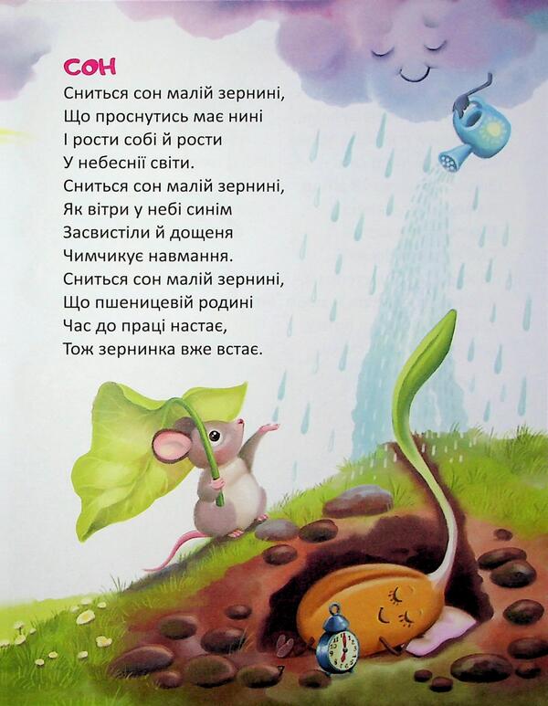 Rainbow / Райдуговолоска Роман Росицкий 978-966-989-280-5-6