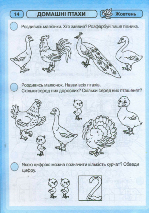 Rays Of Knowledge. Integrated Classes. Workbook 5+ - Промнчики знань. нтегрован заняття. Робочий зошит 5+ Lyudmila Dyb, Valentina Novikova - Людмила Дб, Валентина Новкова 9786175405895-6
