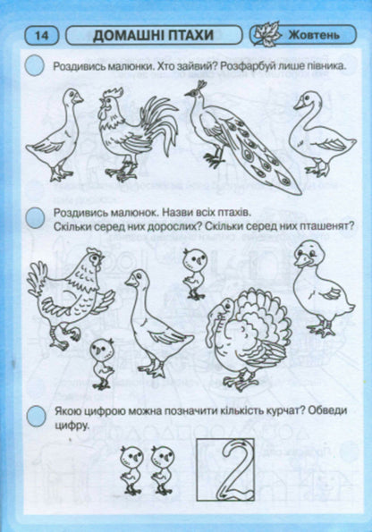 Rays Of Knowledge. Integrated Classes. Workbook 5+ - Промнчики знань. нтегрован заняття. Робочий зошит 5+ Lyudmila Dyb, Valentina Novikova - Людмила Дб, Валентина Новкова 9786175405895-6
