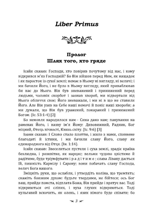 Red Book - Червона книга Carl Gustav Jung - Карл Густав Юнг 9786110133104-2