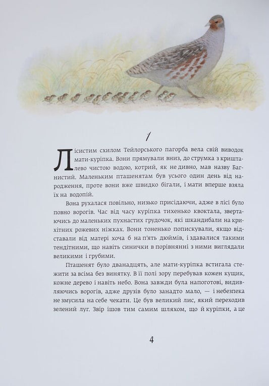 Red Neck - Червона Шийка Ernest Seton-Thompson - Ернест Сетон-Томпсон 9786170929068-2