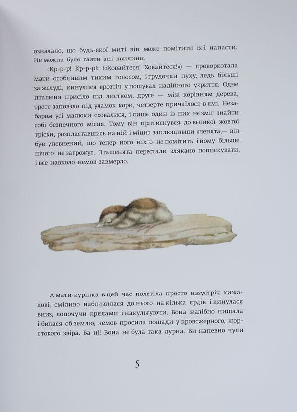 Red Neck - Червона Шийка Ernest Seton-Thompson - Ернест Сетон-Томпсон 9786170929068-3