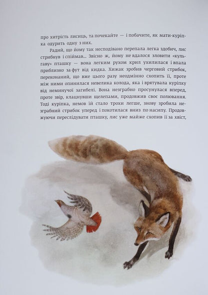 Red Neck - Червона Шийка Ernest Seton-Thompson - Ернест Сетон-Томпсон 9786170929068-4