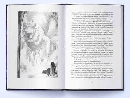 Red winter. Book 3. The immortal fire / Червона зима. Книга 3. Безсмертний вогонь Аннетт Мари 978-617-8446-05-5-6