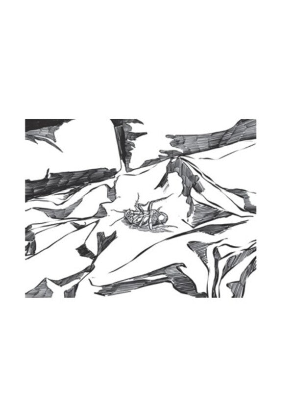 Reincarnation. Illustrated edition / Перевтілення. Ілюстроване видання Франц Кафка 978-088-0034-56-2-2