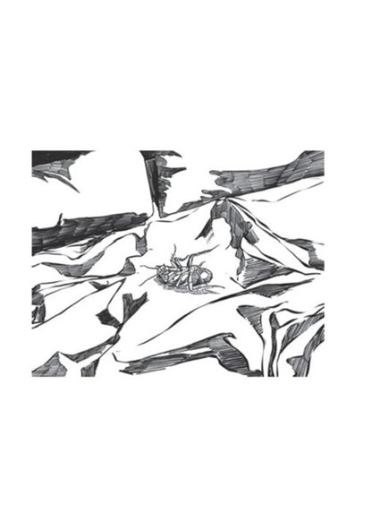 Reincarnation. Illustrated edition / Перевтілення. Ілюстроване видання Франц Кафка 978-088-0034-56-2-2