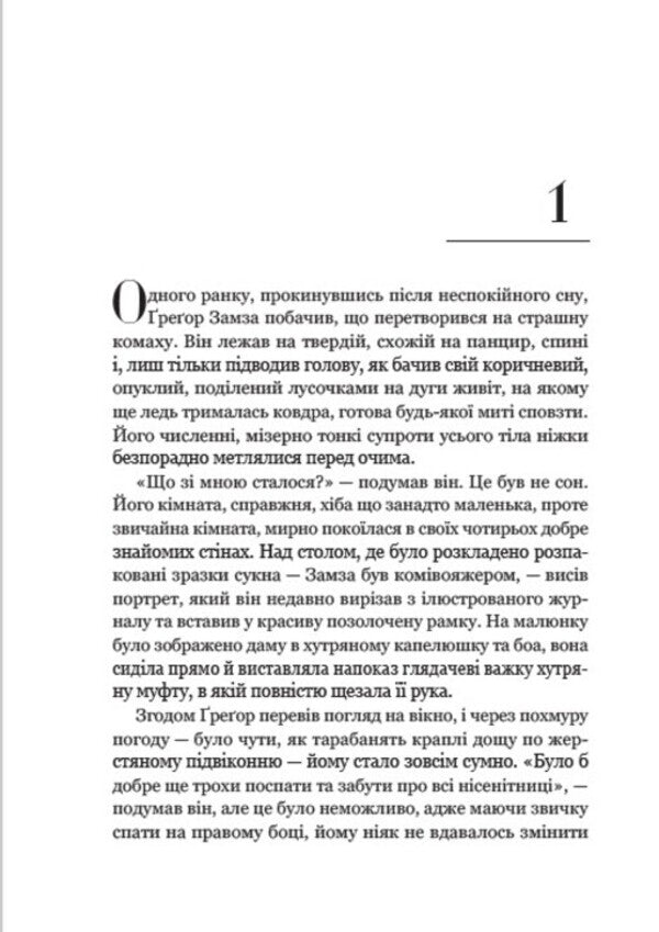 Reincarnation. Illustrated edition / Перевтілення. Ілюстроване видання Франц Кафка 978-088-0034-56-2-3