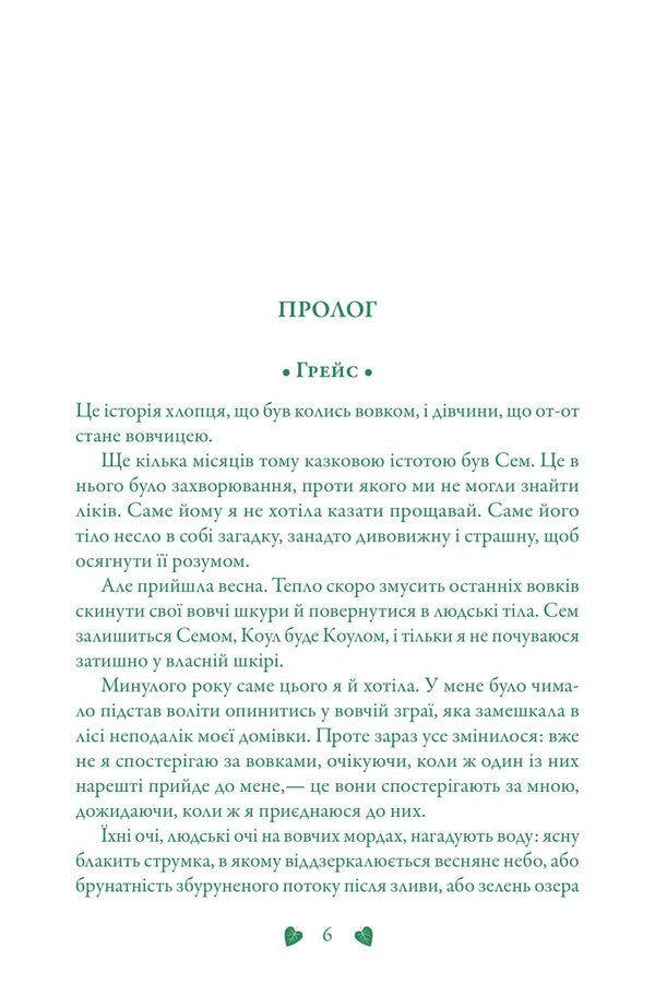 Reincarnation / Перевтілення Maggie styloter / Меггі Стівтер 9789669488671-5