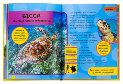 Reptiles And Amphibians. My First Encyclopedia - Рептил та амфб. Моя перша енциклопедя Ketrin Hughes - Кетрн Хьюз 9786171600799-6