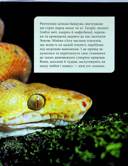Reptiles are terrible and wonderful / Рептилії — жахливі й чудові Андрей Гапченко 978-966-989-302-4-5
