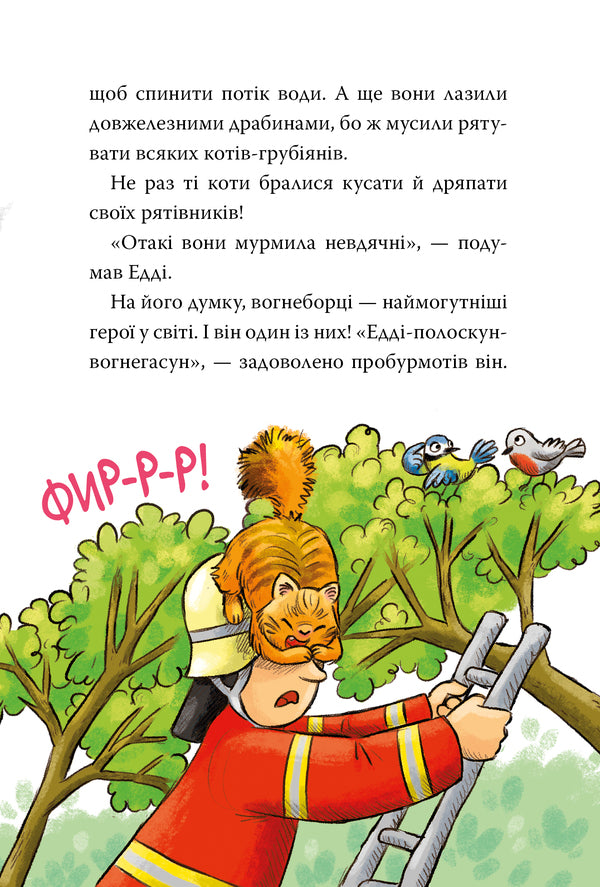 Rescue Animals Book 1 A Raccoon Gets Down To Business - Тварини-рятувальники Книга 1 До справи береться нот Vanessa Walder - Ванесса Волдер 9786178639792-5