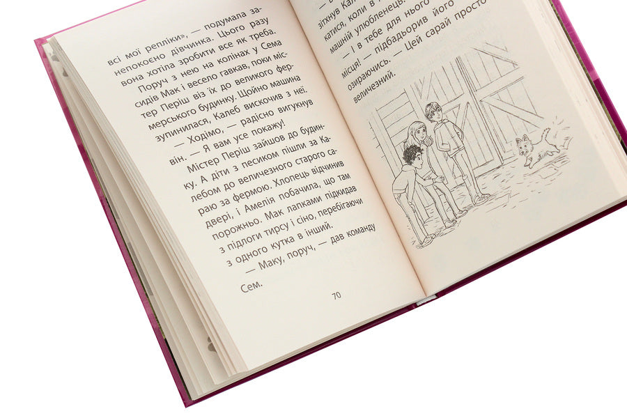 Rescue stories.Book 5. Puppy adventures / Історії порятунку. Книга 5. Щенячі пригоди Люси Дэниелс 978-617-7877-19-5-5