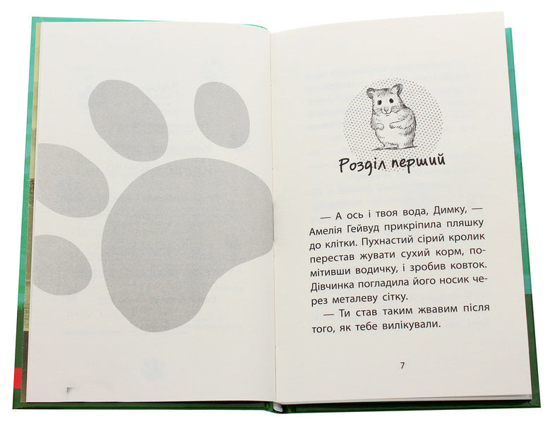 Rescue stories.Book 6. The runaway hamster / Історії порятунку. Книга 6. Хом'ячок утікач Люси Дэниелс 978-617-7877-25-6-4