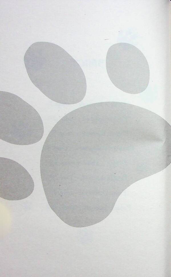 Rescue stories. Book 11. Puppy panic / Історії порятунку. Книга 11. Щенячий переполох Люси Дэниелс 9786178229436-3