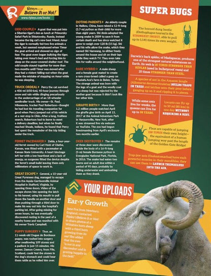 Ripley's Believe It or Not! 2019 / Ripley's Believe It or Not! 2019  9781847948335-6