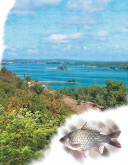 Rivers And Lakes / Річки й озера / Author not specified 9786170981349-4