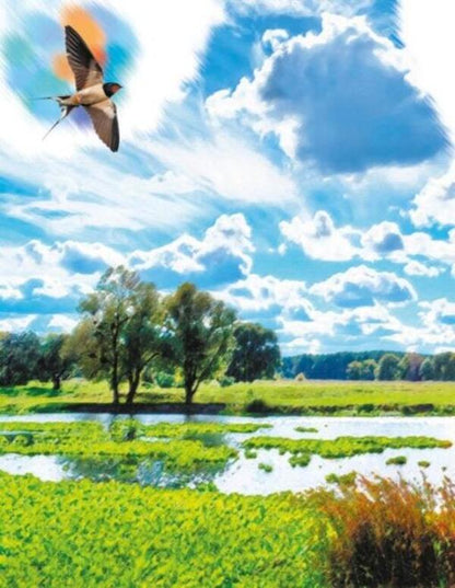 Rivers And Lakes / Річки й озера / Author not specified 9786170981349-5