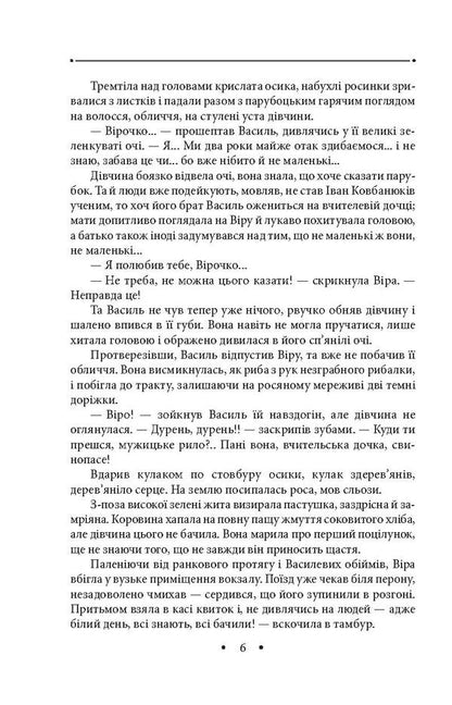 Roasting Stop, traveler! Volume 3 / Жарінь. Зупинись, подорожній! Том 3 Роман Иванычук 978-966-03-7948-0-6