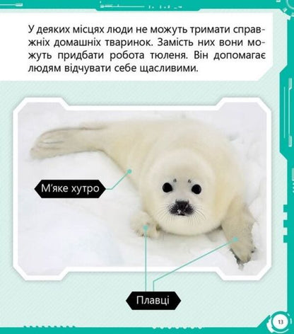 Robopark and not only. Level 4 / Робопарк і не тільки. Рівень 4 Изабель Томас 978-617-09-4033-9-4