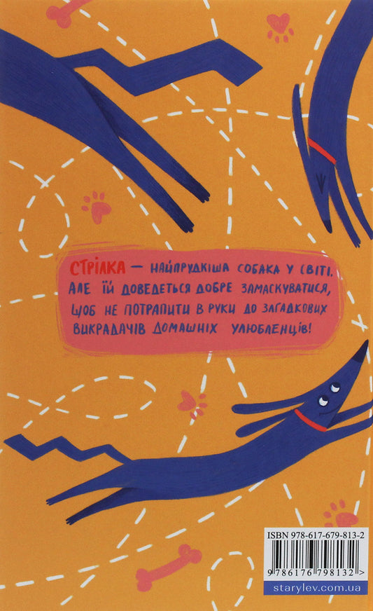 Rocket On Four Legs Under Cover / Ракета на чотирьох лапах під прикриттям Jeremy Strong / Джеремі Стронг 9786176798132-2
