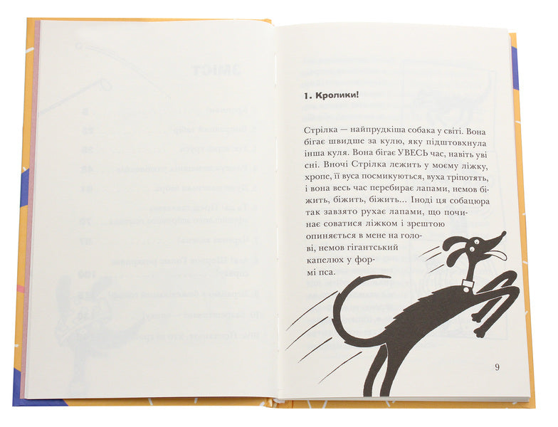 Rocket On Four Legs Under Cover / Ракета на чотирьох лапах під прикриттям Jeremy Strong / Джеремі Стронг 9786176798132-4