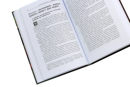 Romantics And Modernists. Essays On The History Of German Literature And Aesthetics Of The 19Th And 20Th Centuries / Романтики і модерністи. Нариси з історії німецької літератури та естетики ХІХ–ХХ століть Boris Shalaginov / Борис Шалагінов 9789665187806-4