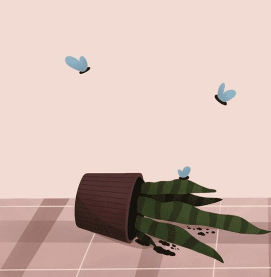 Rudolph. Rudolph The Arrogant Cat / Рудольф. Пихатий кіт / Rudolph The Arrogant Cat Татьяна Гордынчук 978-966-448-187-5-2