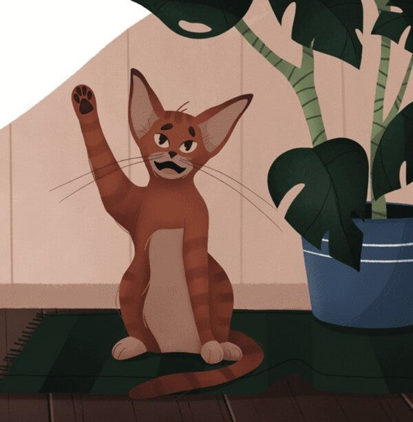 Rudolph. Rudolph The Arrogant Cat / Рудольф. Пихатий кіт / Rudolph The Arrogant Cat Татьяна Гордынчук 978-966-448-187-5-5