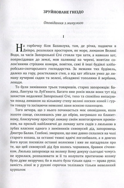 Ruined nest / Зруйноване гніздо Адриан Кащенко 978-617-673-542-7-3