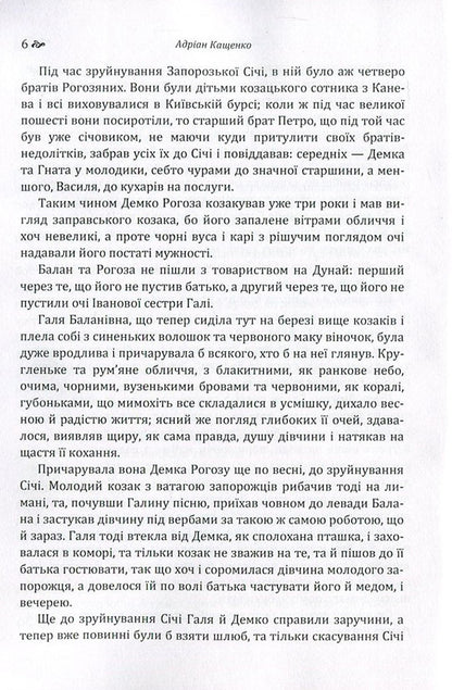 Ruined nest / Зруйноване гніздо Адриан Кащенко 978-617-673-542-7-6