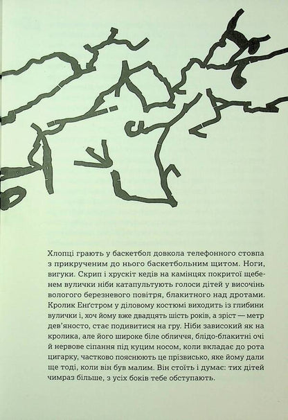 Run, rabbit / Біжи, Кролику Джон Апдайк 9786178535292-5