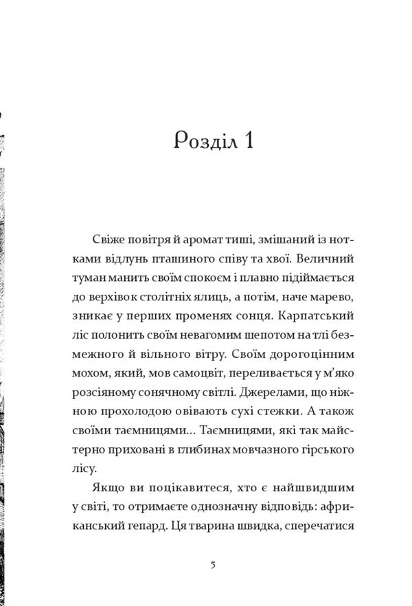 Run while the sun shines / Біжи, доки світить сонце Екатерина Лазирко 978-617-614-394-9-4