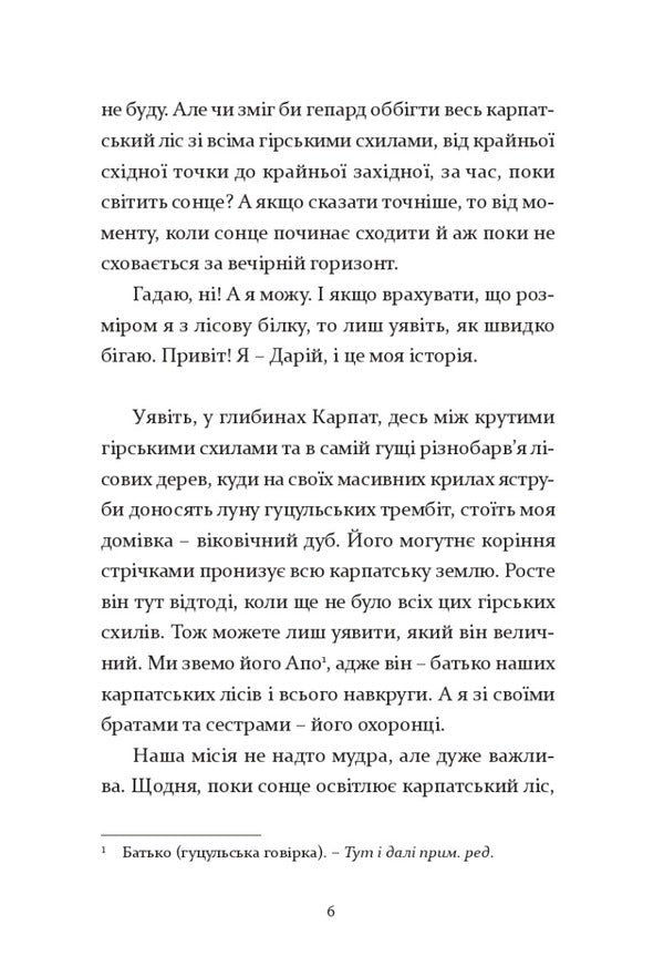 Run while the sun shines / Біжи, доки світить сонце Екатерина Лазирко 978-617-614-394-9-5