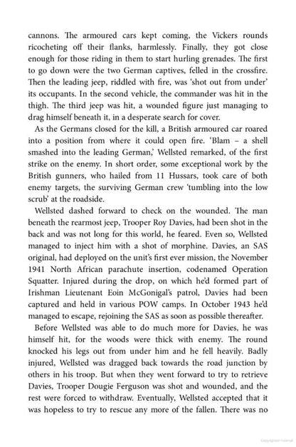 SAS Brothers in Arms / SAS Brothers in Arms Дэмиен Льюис 9781529413779-4