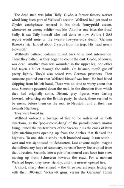 SAS Brothers in Arms / SAS Brothers in Arms Дэмиен Льюис 9781529413779-5