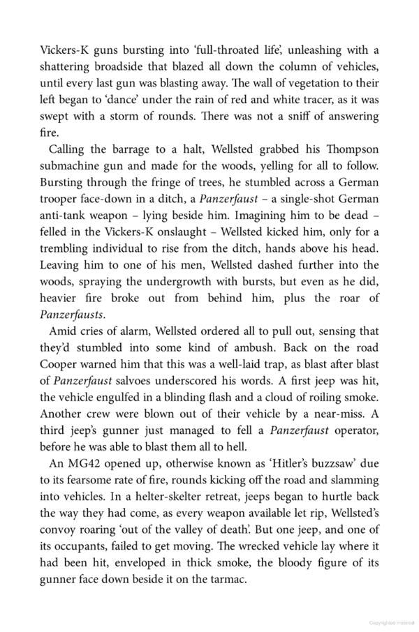 SAS Brothers in Arms / SAS Brothers in Arms Дэмиен Льюис 9781529413779-6